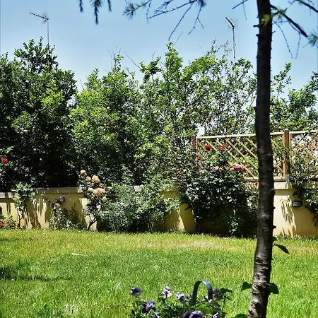 Avgi Garden House Chania With Private Entrance Апартаменти *