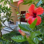Apartment Avgi Garden House Chania With Private Entrance Chania (Crete)