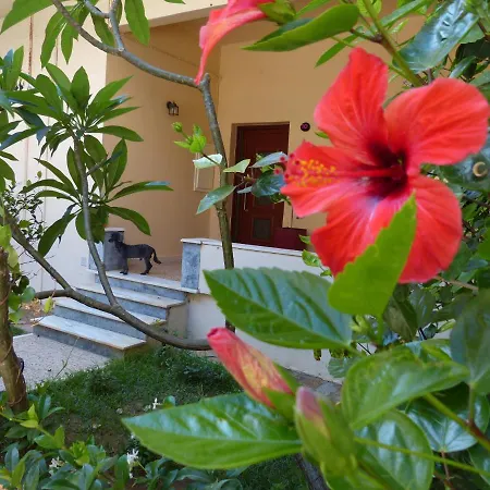 Апартаменти Avgi Garden House Chania With Private Entrance Ханья (Крит)