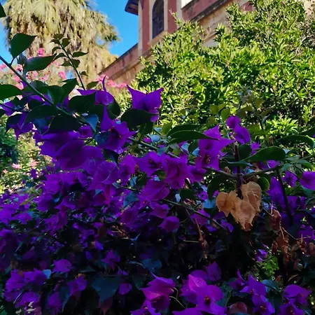 Avgi Garden House Chania With Private Entrance