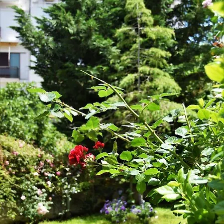 Avgi Garden House Chania With Private Entrance * Hriszí Aktí Haniá