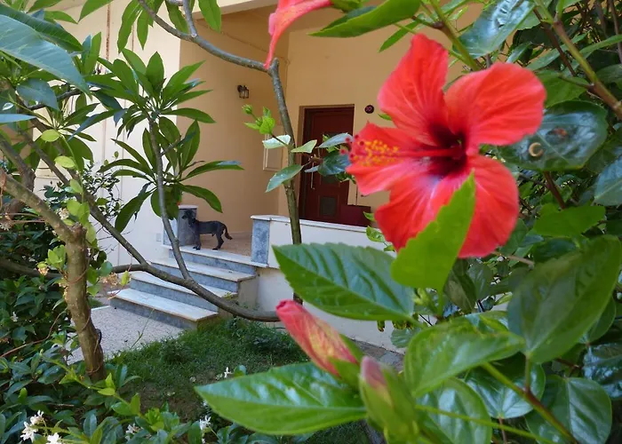 Apartament Avgi Garden House Chania With Private Entrance Chania (Crete)