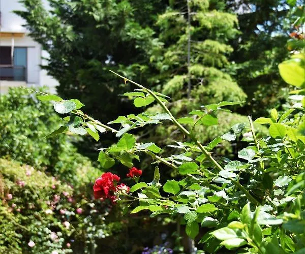 Avgi Garden House Chania With Private Entrance * ハニア